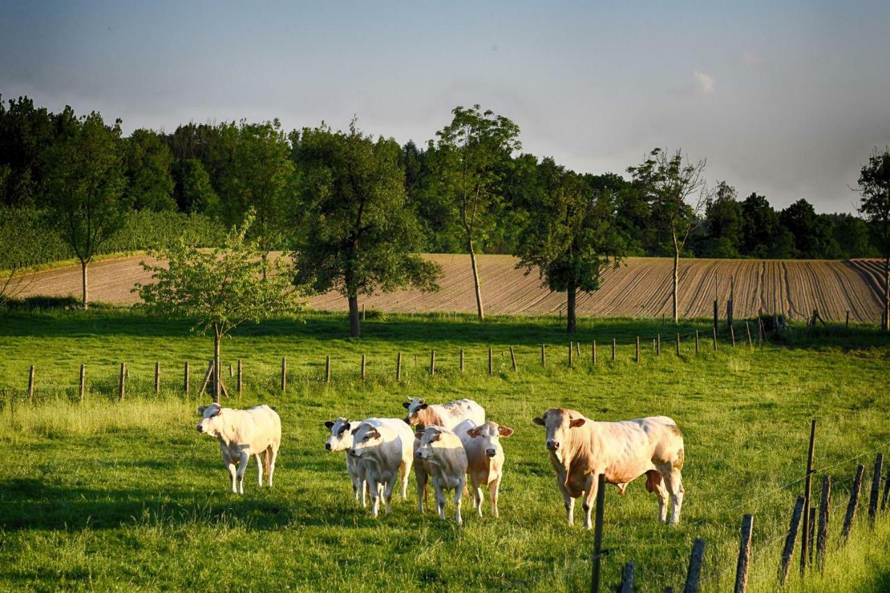 B&B De Bloesem Hoeselt Exteriér fotografie